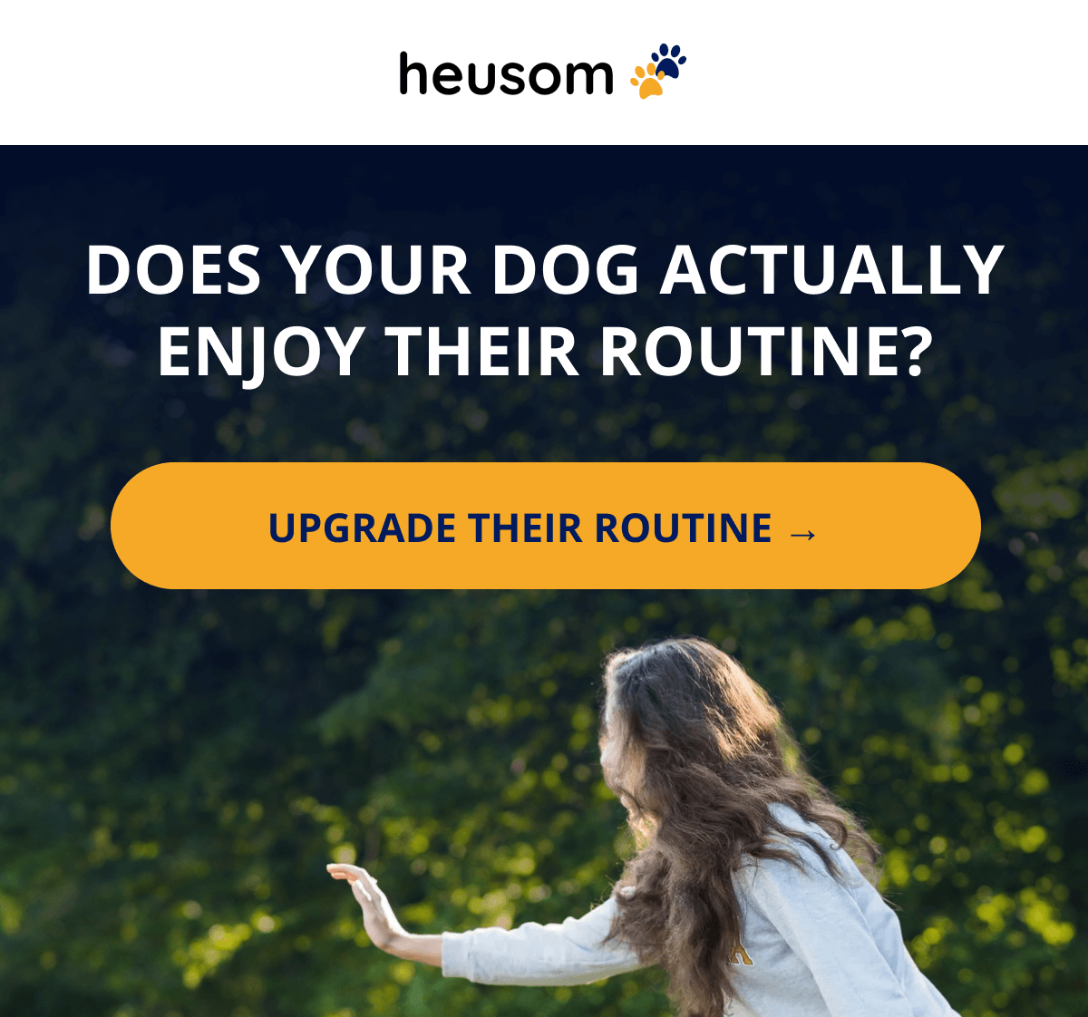 Does your dog actually enjoy their routine?