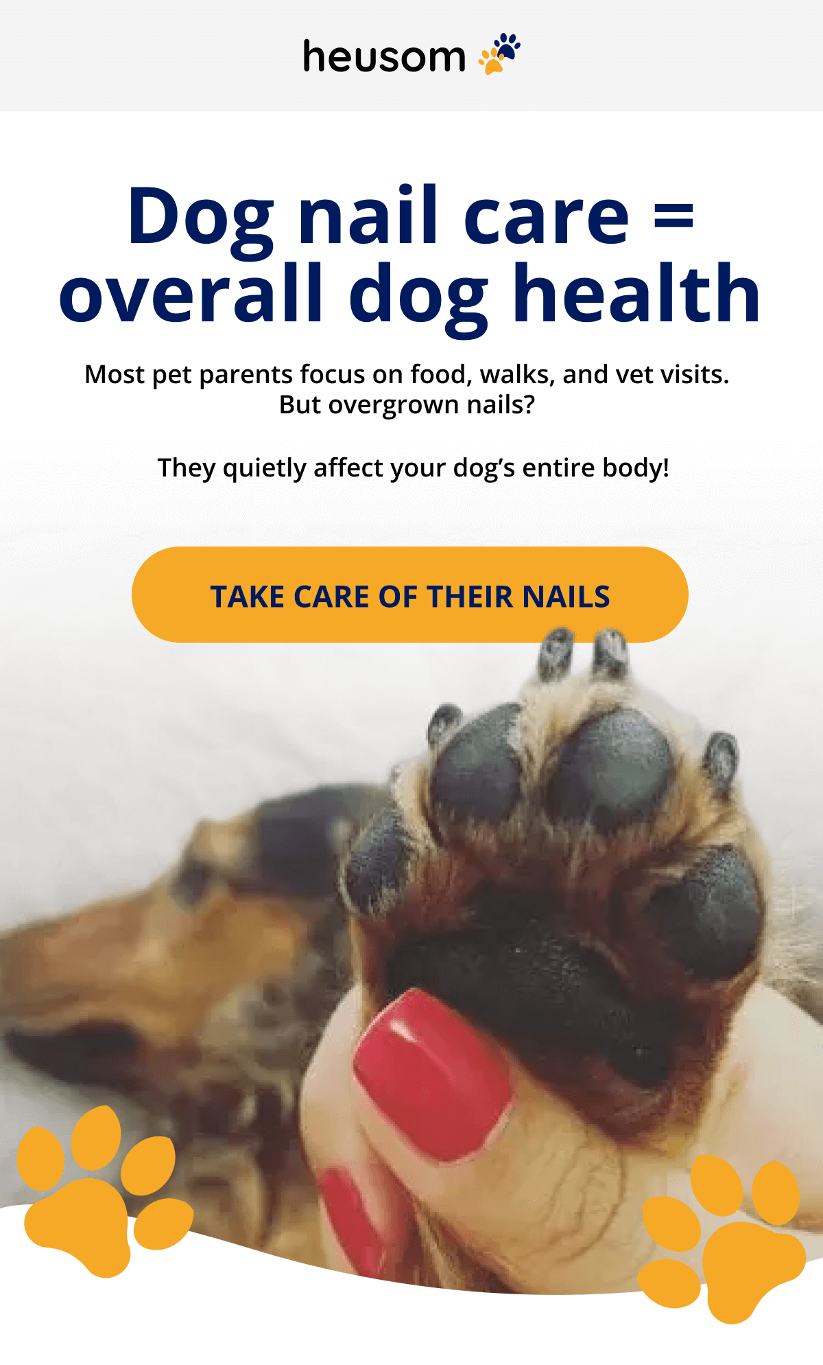 Dog nail care = overall dog health