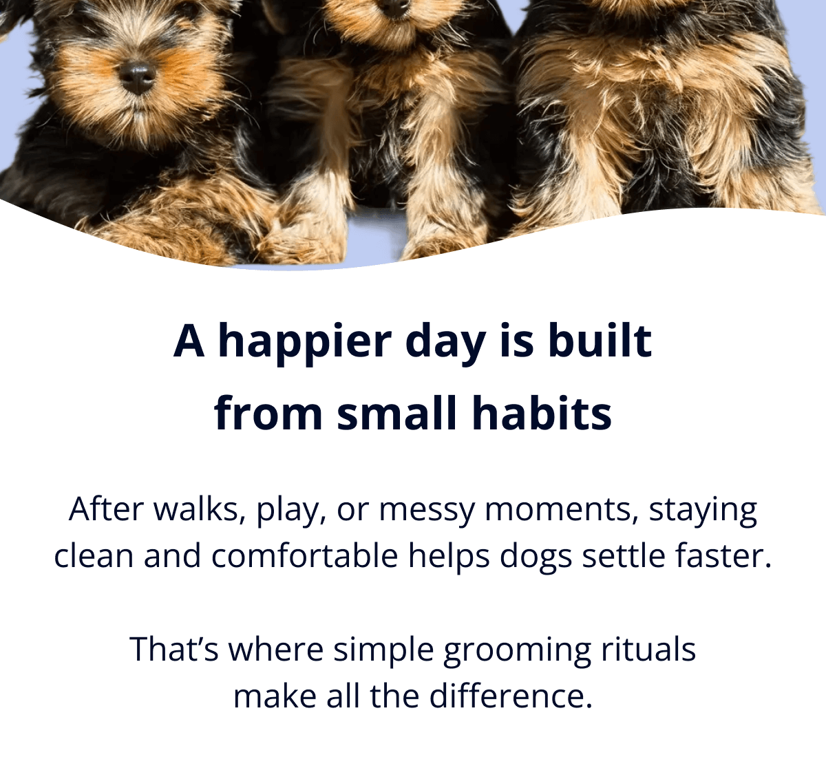 After walks, play, or messy moments, staying clean and comfortable helps dogs settle faster.  That's where simple grooming rituals make all the difference.