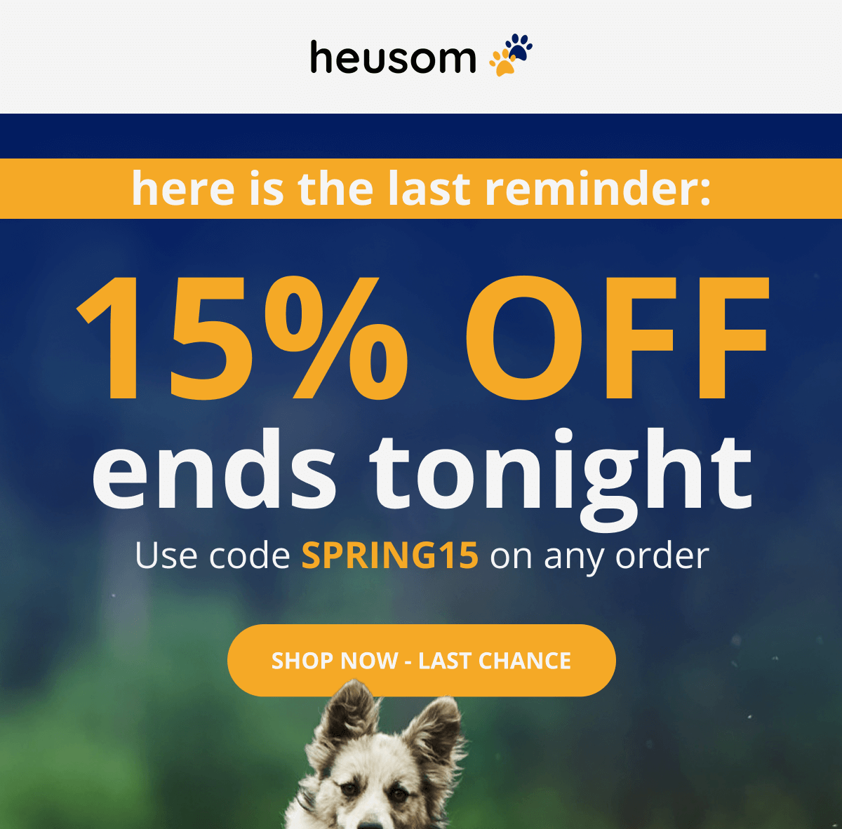 Fresh air.  Longer walks.  Muddy paws.