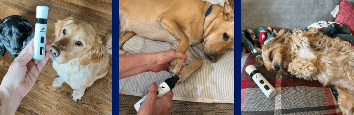 4 Use the Right Tools: Heusom's Silent Groom Pro helps make the grooming experience       more enjoyable.   It's designed to be stress-free, so you and your dog can both relax. Ready to give your pup the pampering they deserve? Make grooming stress-free! START STRESS-FREE GROOMING With care, The Heusom Team