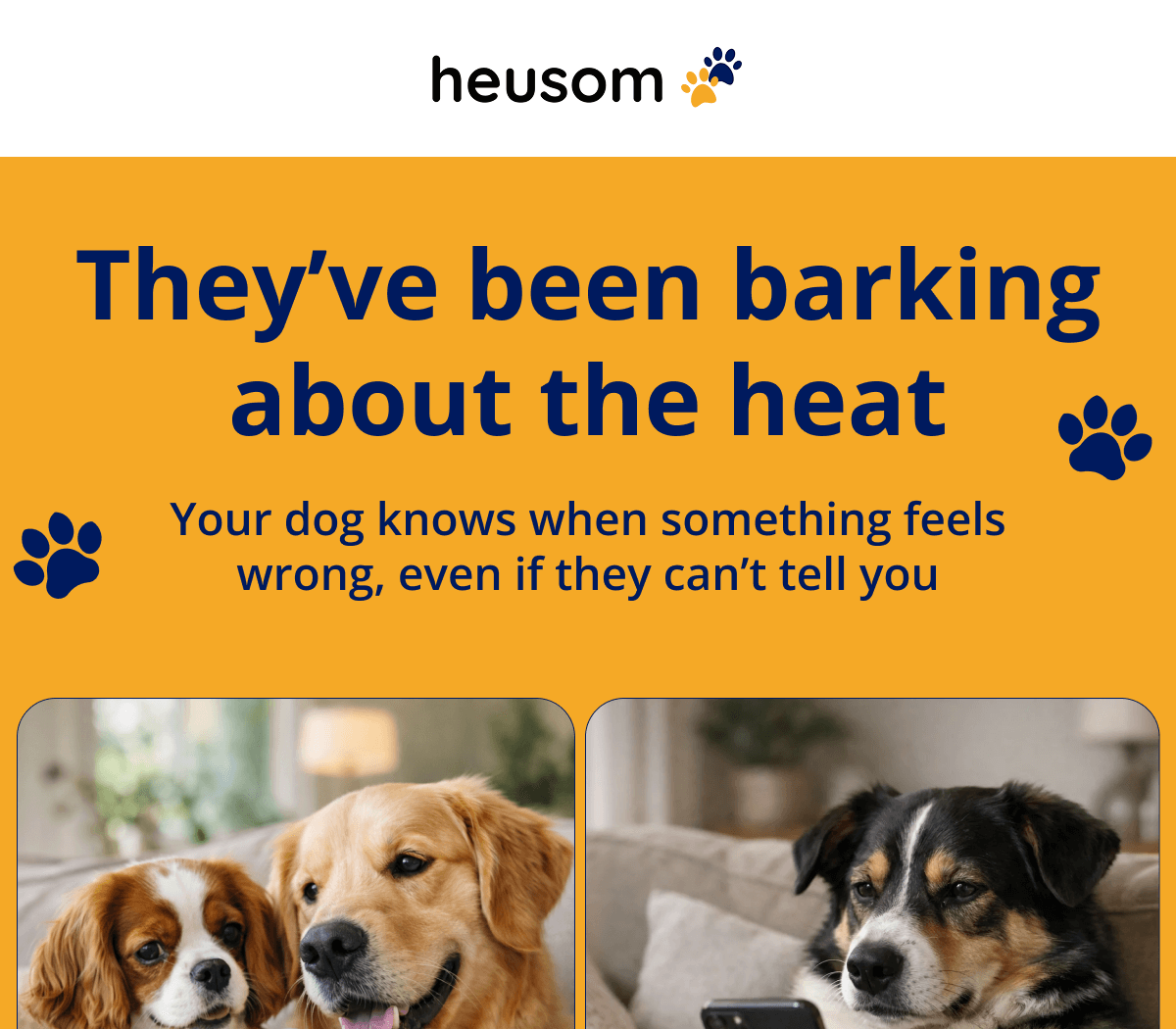 They've been barking about the heat Your dog knows when something feels wrong, even if they can't tell you