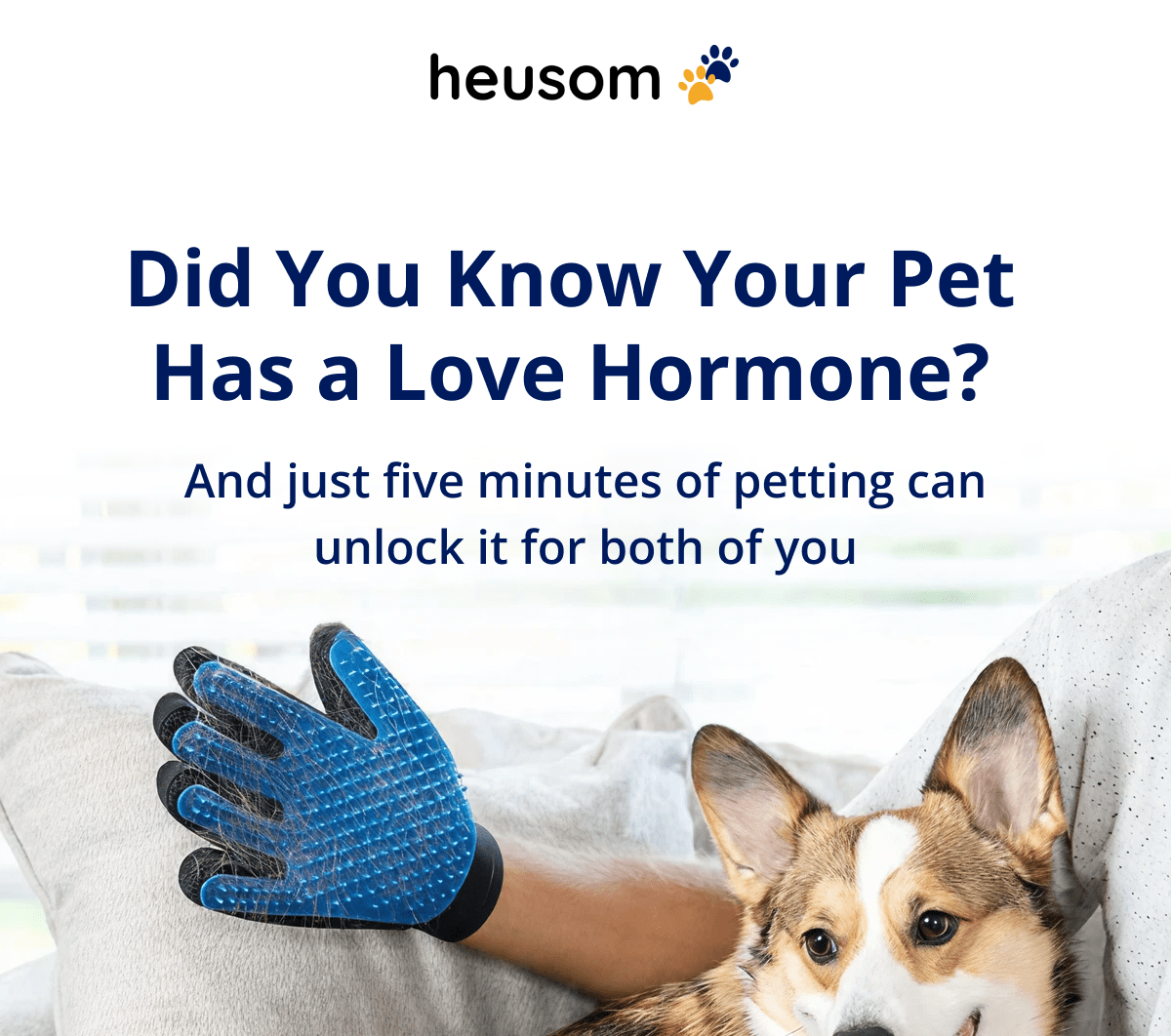 Did You Know Your Pet Has a Love Hormone? And just five minutes of petting can unlock it for both of you