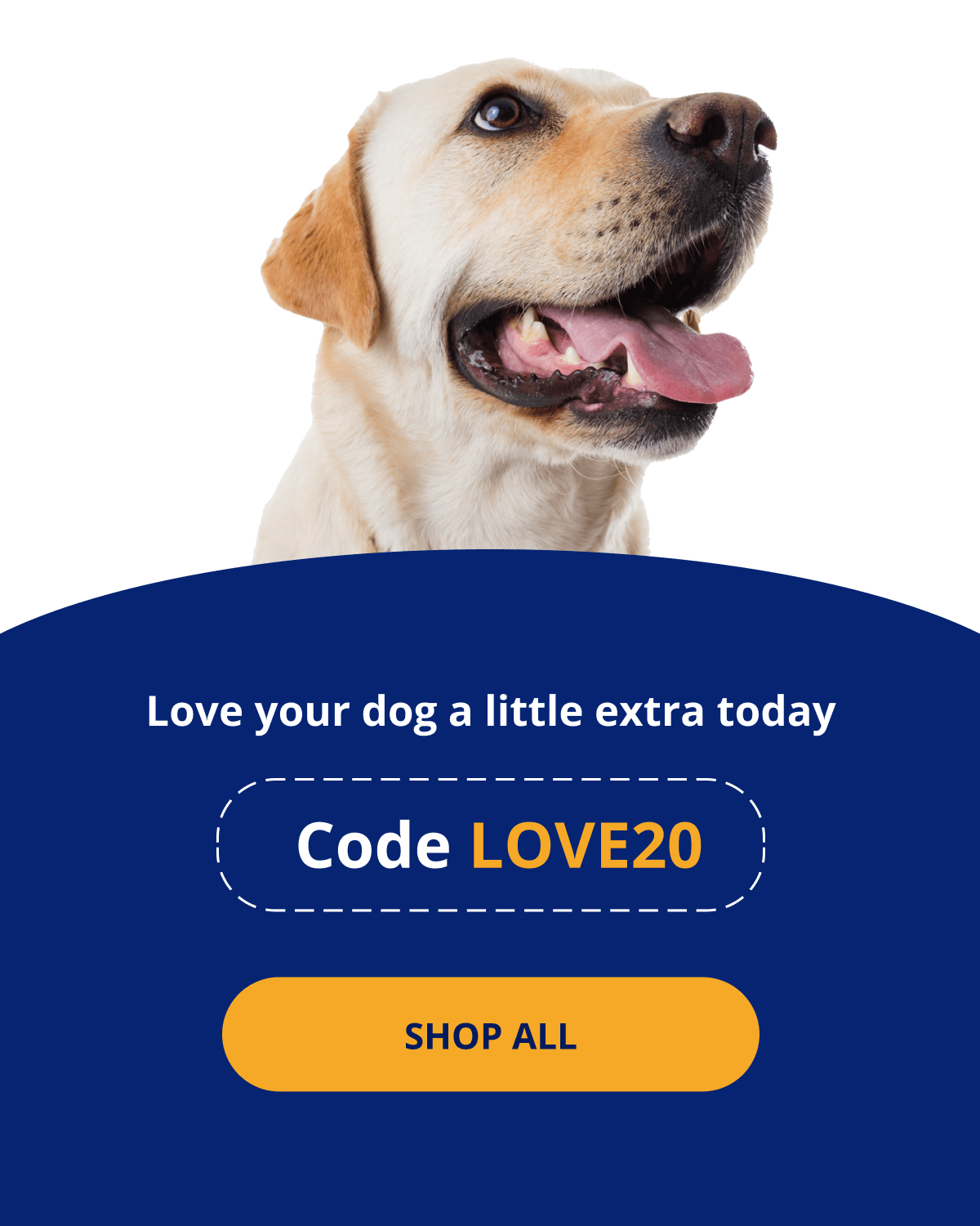 Love your dog a little extra today