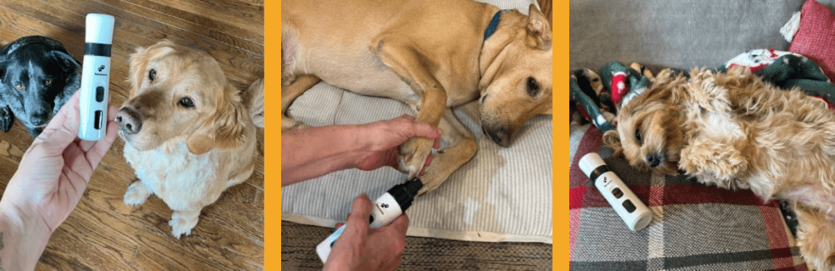 START GROOMING STRESS-FREE NOW