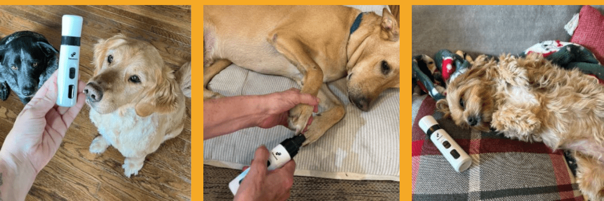 Heusom's all-in-one Grooming Kit  makes it beyond easy.   Quiet, safe, & stress-free, it turns grooming into a bonding moment — not a struggle!  Keep your pup healthy & happy! SHOP THE GROOMING KIT
