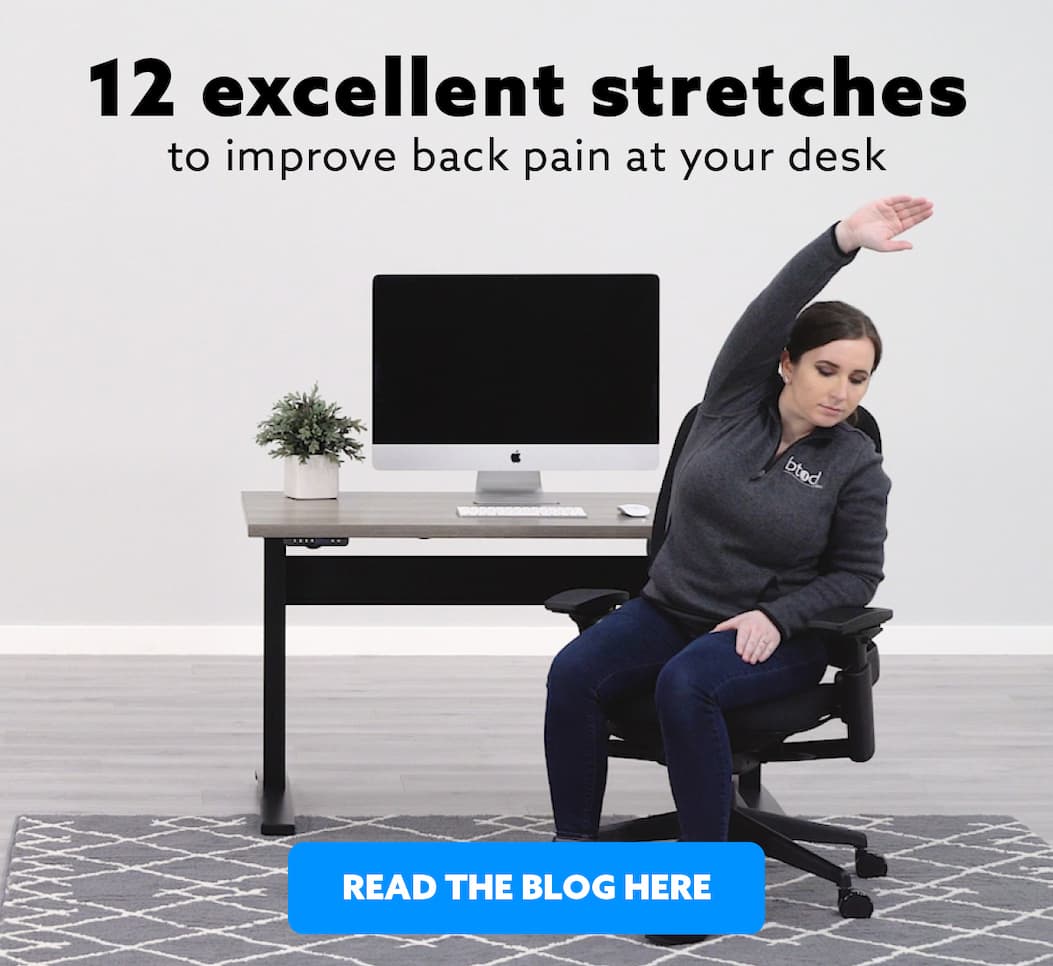 12 Excellent Stretches to Improve Back Pain at Your Desk, Read the Blog