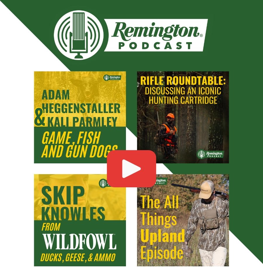 Remington Podcast update