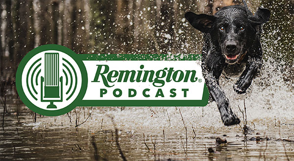 Your New Favorite Podcast