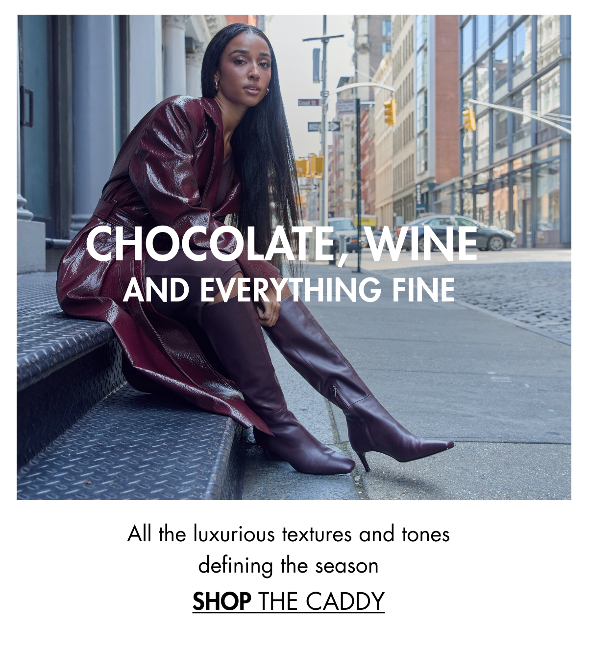 CHOCOLATE, WINE AND EVERYTHING FINE All the luxurious textures and tones defining the season SHOP THE CADDY