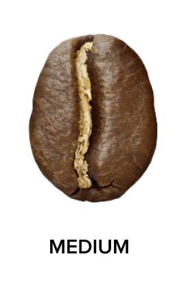 MEDIUM