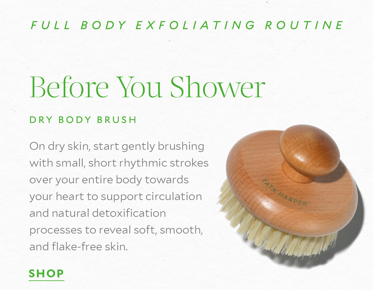 Dry Body Brush