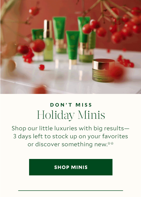Don’t Miss Holiday Minis