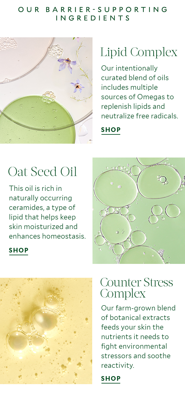 Our Barrier-Supporting Ingredients