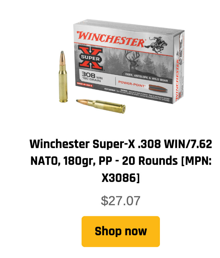 .308 ammunition - Winchester