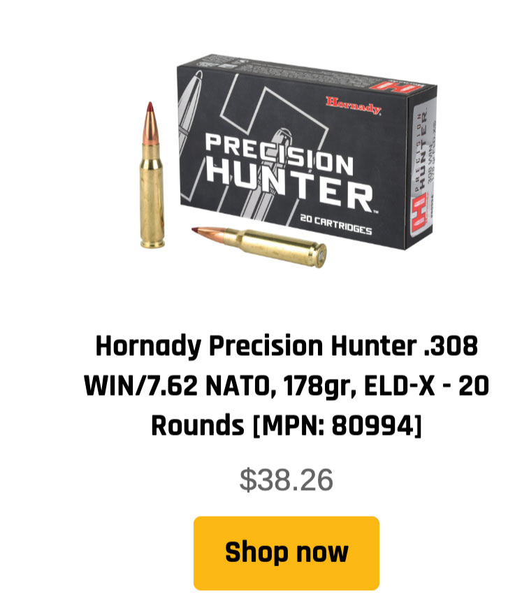 .308 ammunition - Hornady