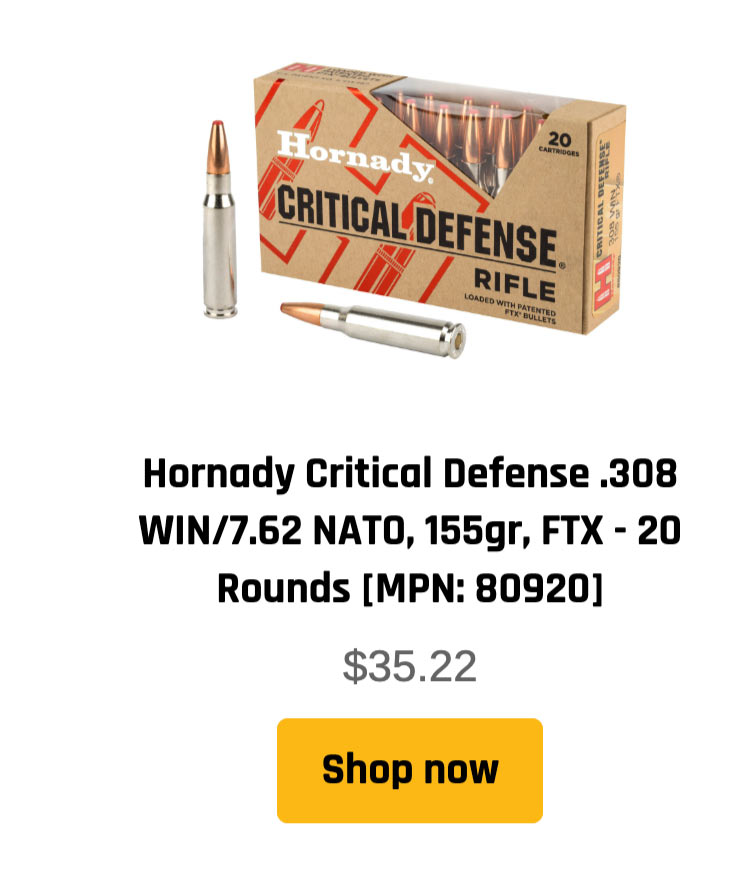 .308 ammunition - Hornady