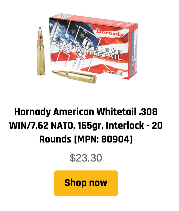 .308 ammunition - Hornady