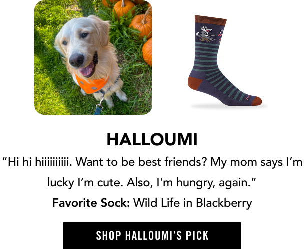Shop Wild Life - selected by Halloumi, an enthusiastic golden retriever with a voracious appetite