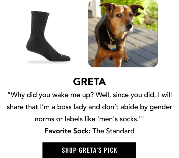 Shop the Standard - selected by Greta, our chief canine officer who takes her job seriously