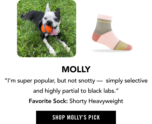 Shop Shorty Heavyweight - selected by Molly, a boston terrier who loves to lounge indoors and out