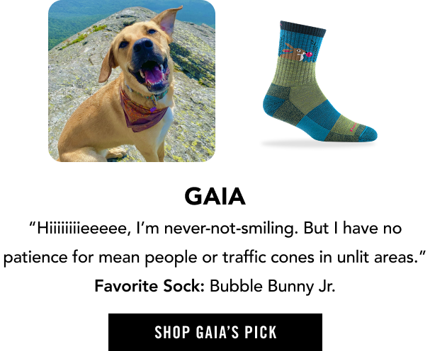Shop Bubble Bunny Jr - selected by Gaia, a friendly mutt who's still in her puppy era