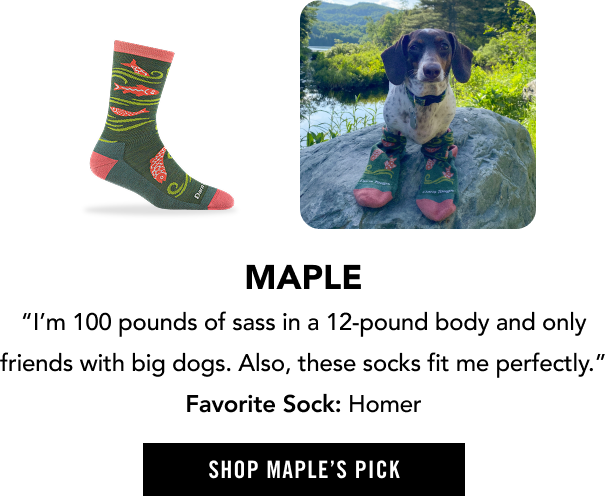 Shop Homer - selected by Maple, a small but fearless dachshund with a love of fishing