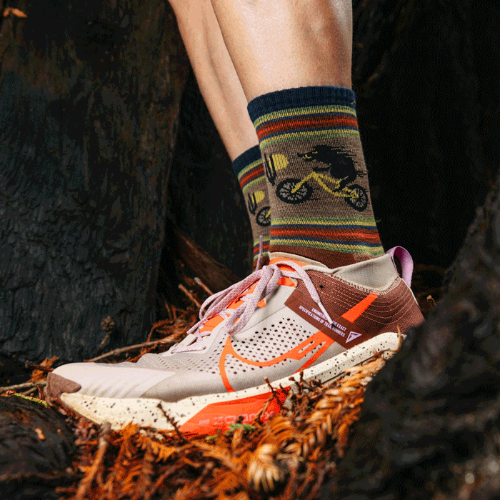 Shop Animal Hike socks - hikers wearing socks that feature bears, huskies, and a warthog on a bike
