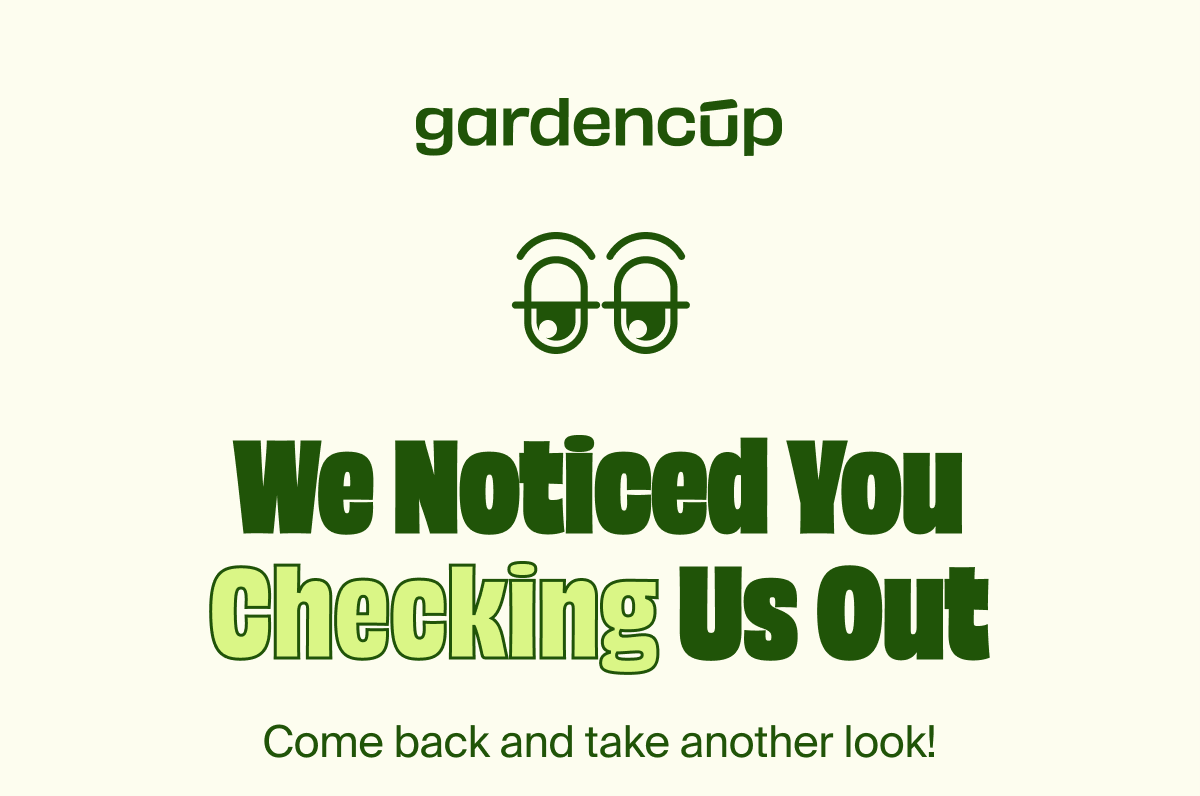 We Noticed You Checking Us Out | Come back and take another look