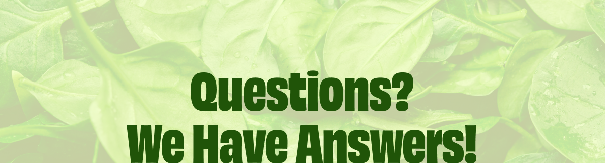 Questions? We Have Answers!