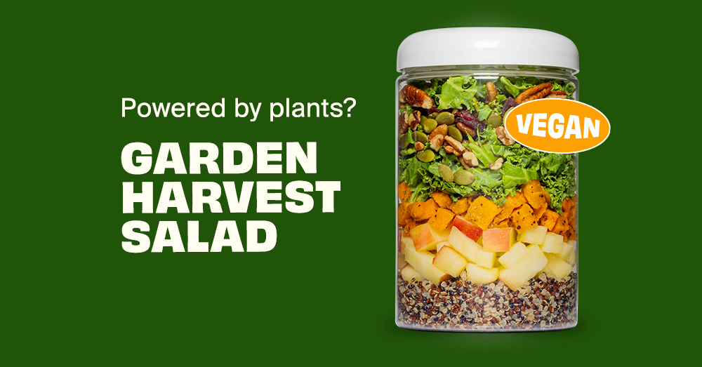Garden Harvest Salad