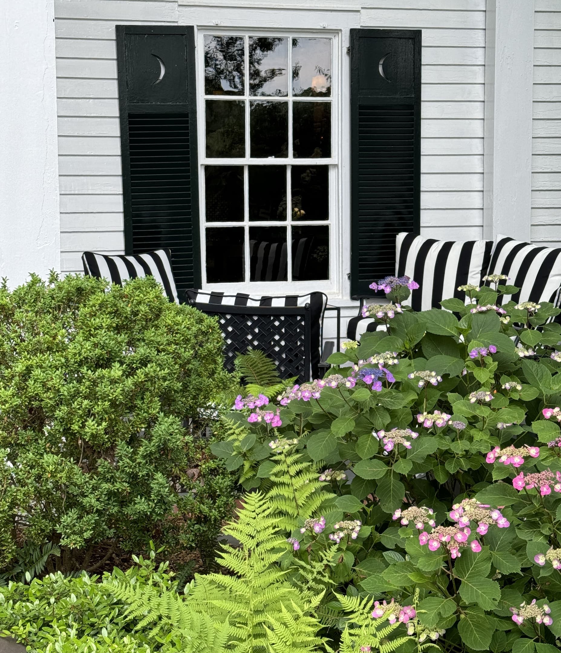 Charming cottage-style porch framed by lush garden plantings. Black-and-white striped cushions sit beneath a window with dark shutters featuring crescent-moon cutouts, while pink and lavender lacecap hydrangeas bloom among ferns and evergreen shrubs. The layered greenery and classic monochrome accents create an inviting Southern garden scene with timeless appeal.