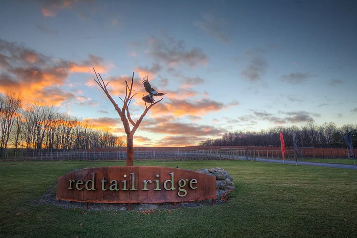 A rusted steel sign reading “red tail ridge” sits on a grassy lawn at sunset, topped by a sculptural metal tree with a bird perched on its branches. Vineyards and leafless trees stretch into the distance under a sky streaked with pink and orange clouds.