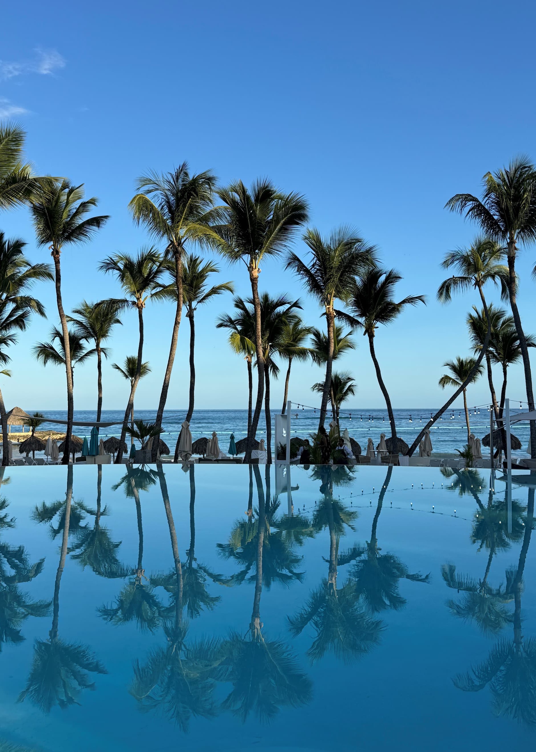 A serene oceanfront scene with tall palm trees lining the shore, their silhouettes reflected in a still infinity pool in the foreground. Beyond the pool, lounge chairs and umbrellas sit along the beach, with gentle waves meeting the horizon under a clear blue sky.
