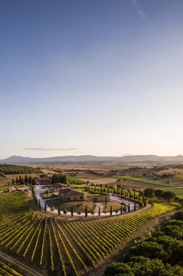 Aerial view of a vineyard estate with rows of grapevines surrounding a central building, set in rolling countryside at sunset.