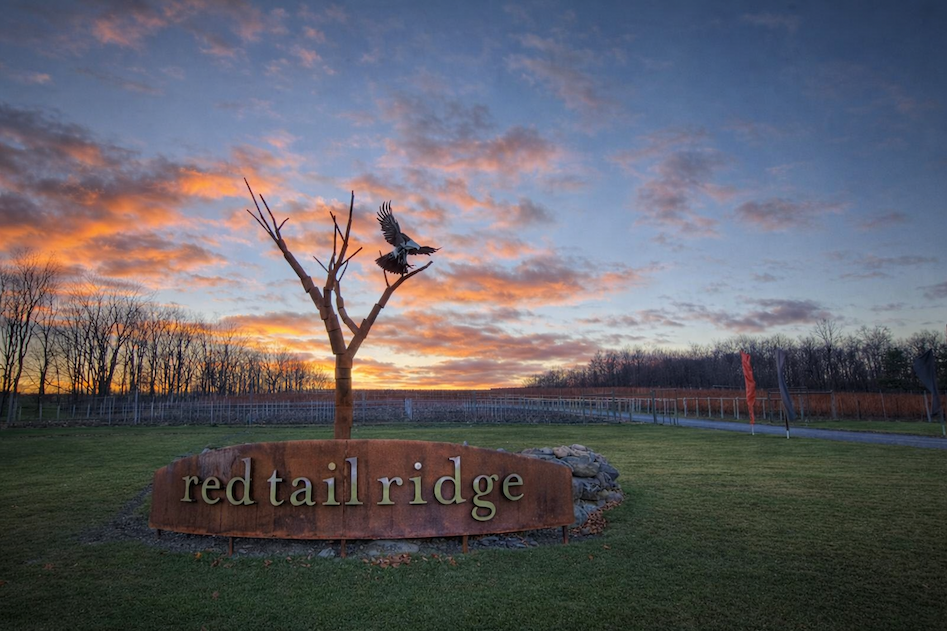 Rust-colored metal sign reading “red tail ridge” set in grass, with a sculptural metal tree and bird silhouette against a colorful sunset sky and vineyard rows.