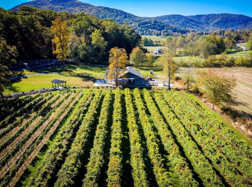 An aerial view of a vineyard shows long, orderly rows of grapevines leading to a small building, set within a scenic valley surrounded by rolling hills and autumn-colored trees under a clear blue sky.