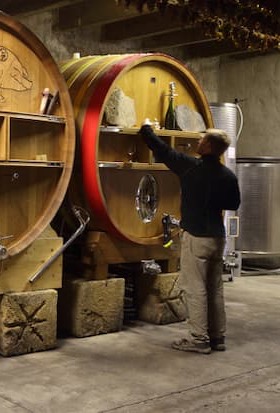Winemaker checking wine barrels inside a traditional cellar. Fearrington Village.