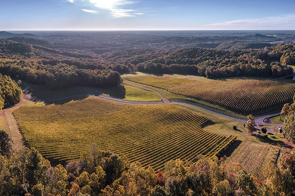 Aerial view of rolling vineyards with neatly planted rows of grapevines winding through a patchwork of fields and forested hills, bathed in warm late-afternoon light under an expansive blue sky.