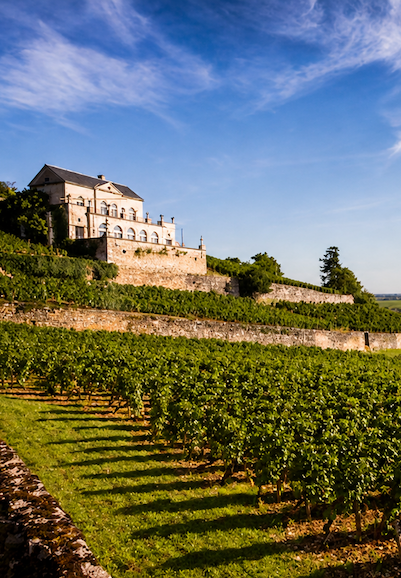 Sunlit vineyard rows stretch across terraced hillsides beneath a bright blue sky, leading to a stately stone winery overlooking the countryside. Warm afternoon light highlights the lush vines and historic architecture of the wine estate.