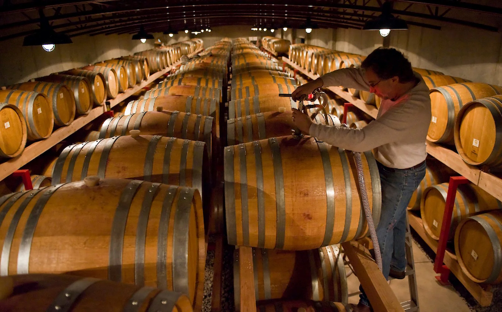 Worker drawing wine from oak barrels in a dimly lit cellar lined with rows of stacked casks.