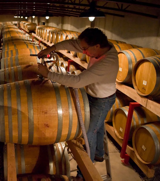 Winemaker drawing wine from an oak barrel in a cellar lined with rows of aging barrels under warm cellar lighting.