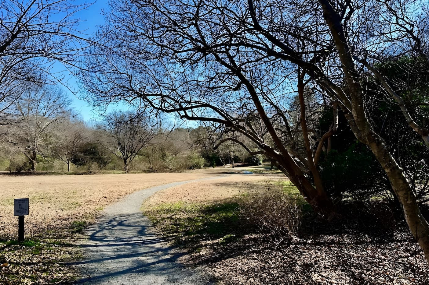 Curving gravel path through a winter meadow with bare trees casting long shadows under a clear blue sky.