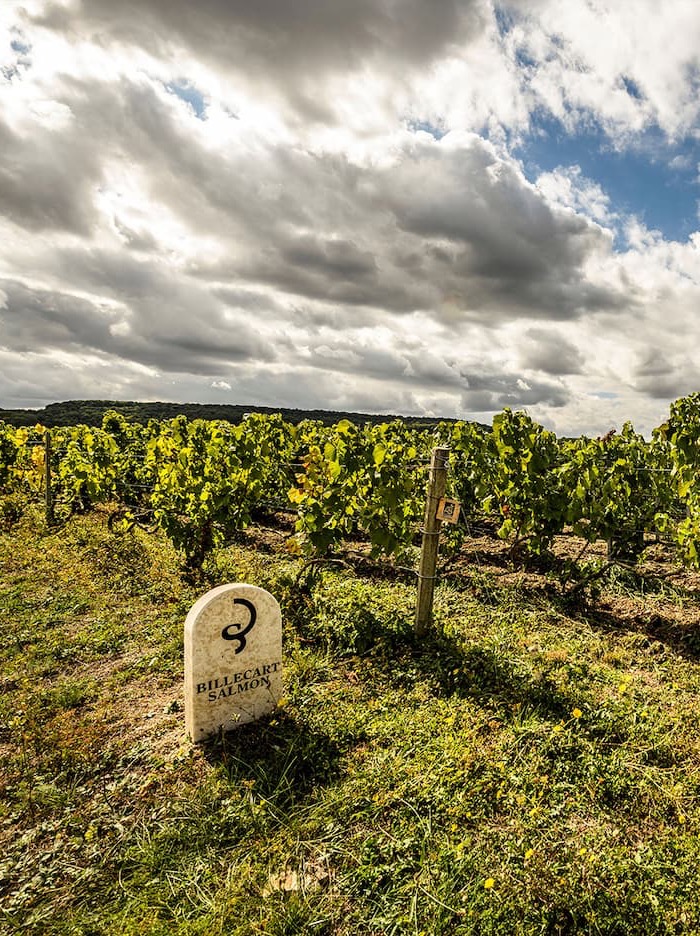 Rows of grapevines stretch across a vineyard under a dramatic, cloudy sky. In the foreground, a stone marker with “Billecart Salmon” and a stylized “S” is visible among the greenery. Fearrington Village
