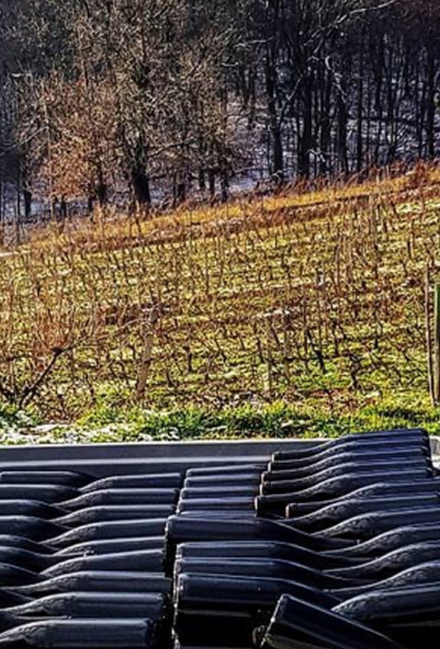 Rows of empty wine bottles are stacked in trays in the foreground, with a sunlit vineyard and leafless trees visible on a sloping hill in the background. Fearrington Village