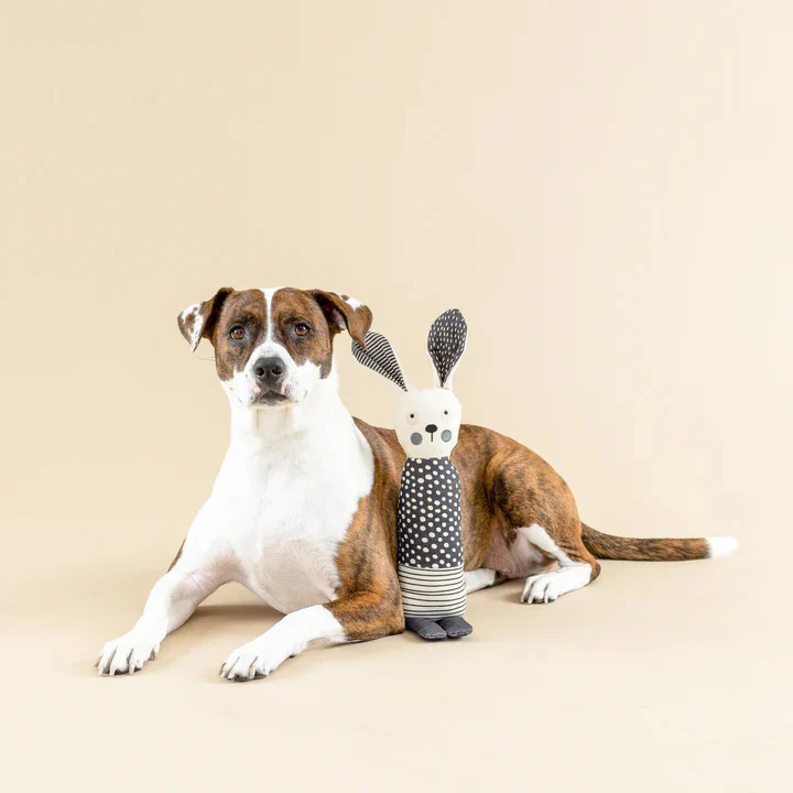 A brown-and-white dog lies on a neutral beige background beside a soft fabric bunny toy. The toy features long ears, a polka-dot body, and striped details, creating a playful yet minimalist studio scene.