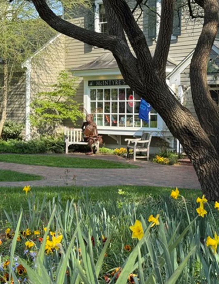 A garden scene in bloom features yellow daffodils in the foreground, with a winding brick path leading to a charming shop building in the background. A person sits on a bench beneath a large tree outside McIntyre’s Books, creating a peaceful, inviting setting.