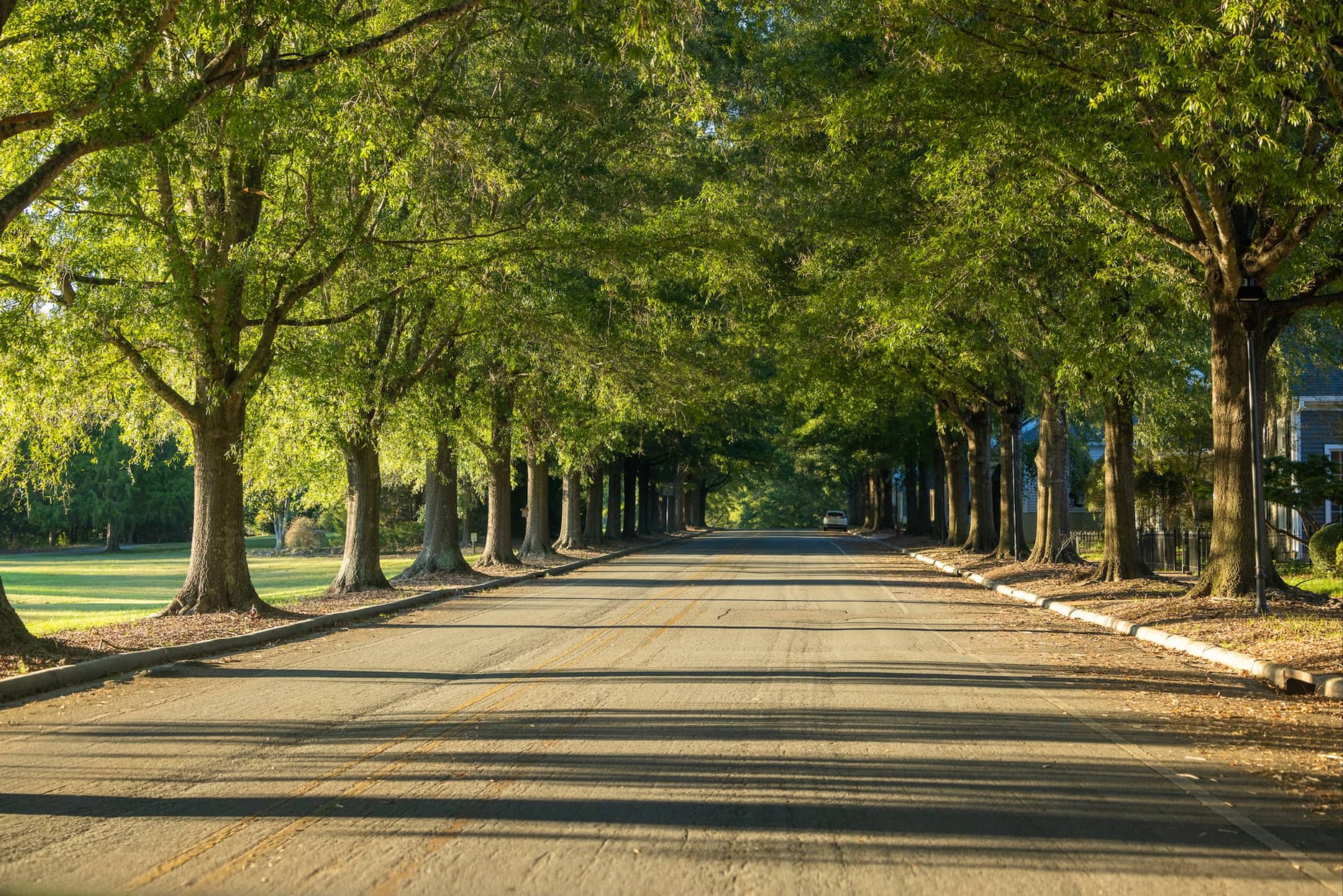 Tree-lined Camden Park road in Fearrington Village with sunlight filtering through green leaves, creating long shadows across the pavement.