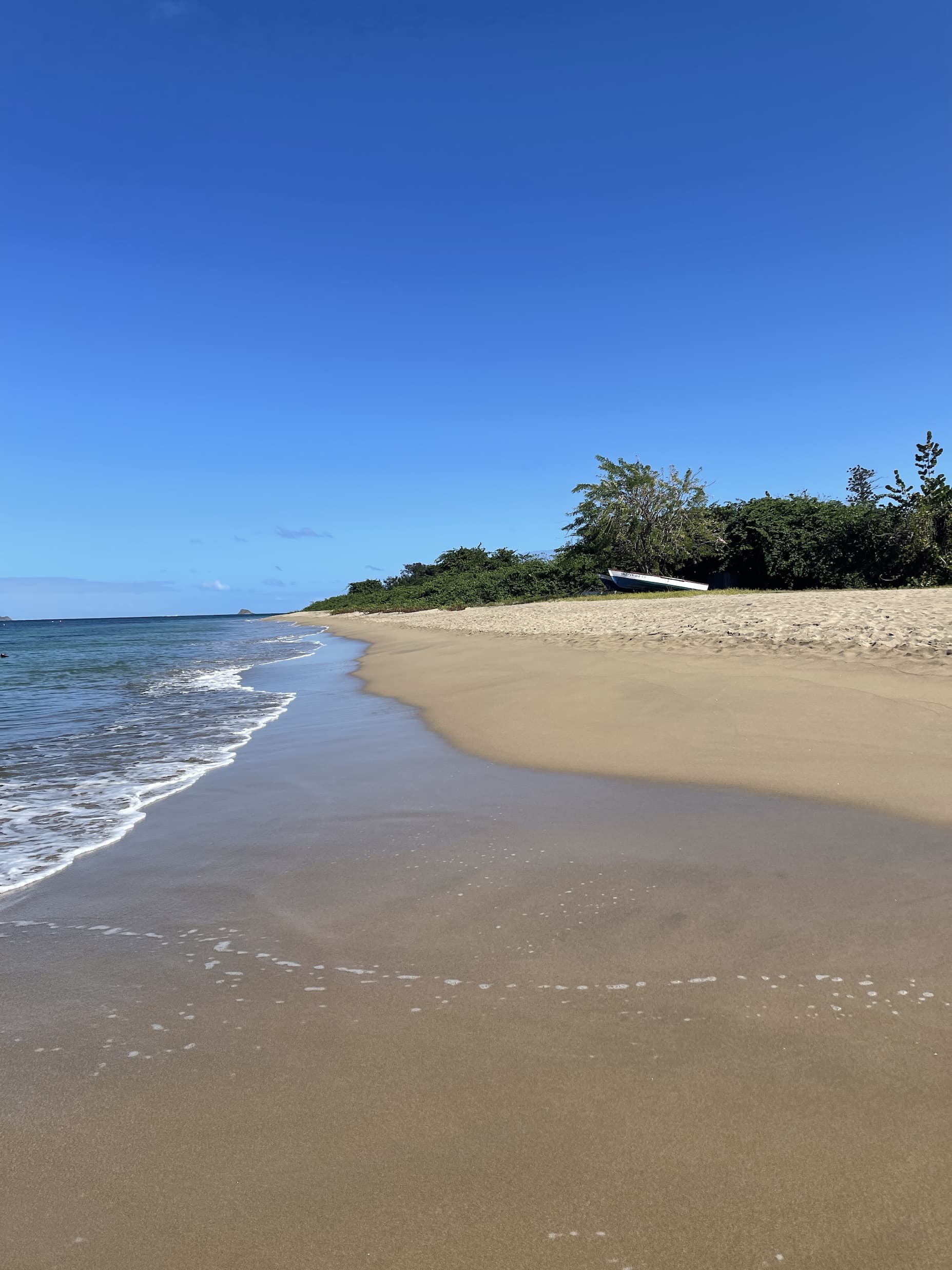 Quiet sandy beach on Nevis with gentle waves, green shoreline, and a small boat pulled up on the sand.