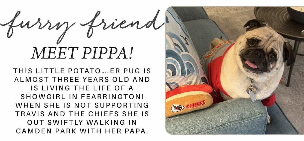 A pug wearing a red shirt sits on a blue couch beside a Kansas City Chiefs pillow. Text describes Pippa, a three-year-old pug, as a showgirl and Chiefs supporter who enjoys walks in Camden Park. Fearrington Village